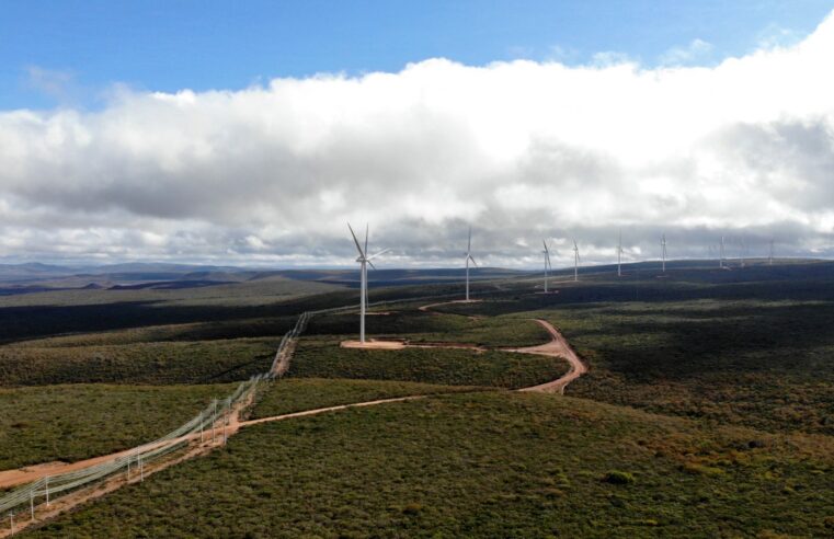 Bahia amplia liderança em energia limpa com inauguração do Complexo Eólico Pedra Pintada